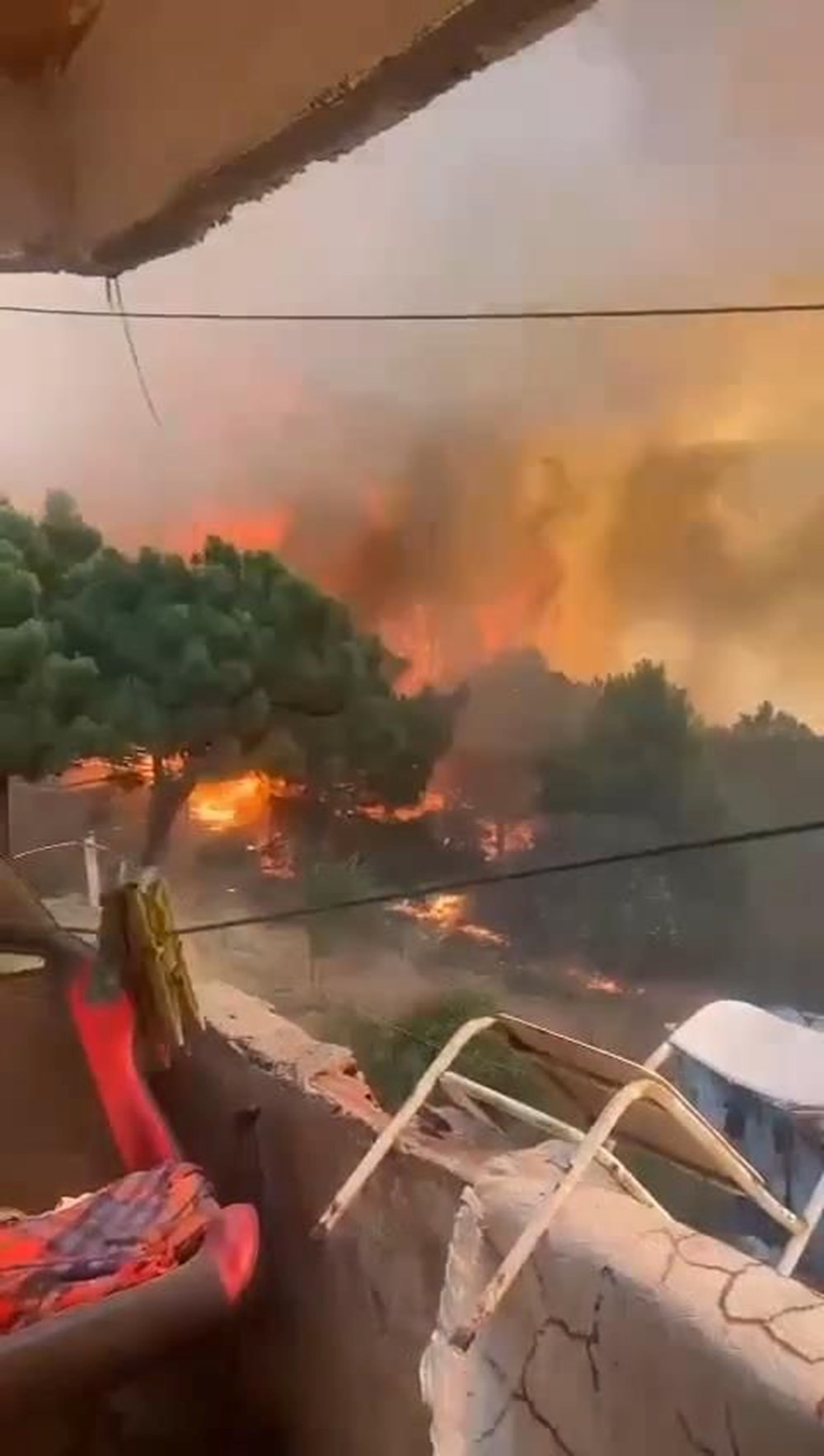 İstanbul Maltepe'de orman yangını - 3