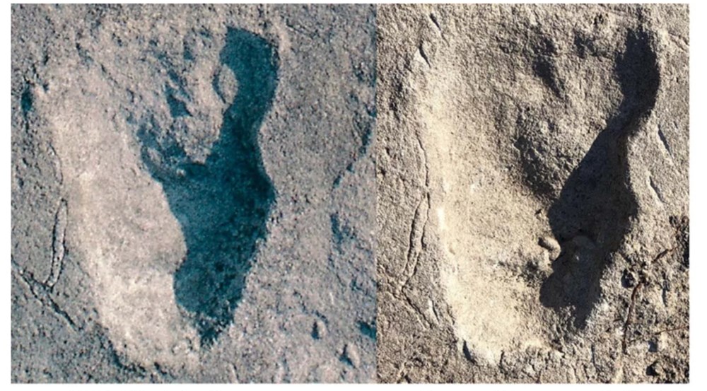 İnsanların ilk atalarına ait 3,7 milyon yıllık ayak izleri bulundu: Karanlık çağ aydınlanıyor - 7