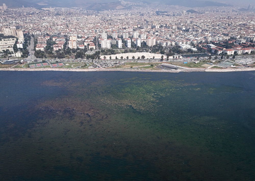 Halk arasında