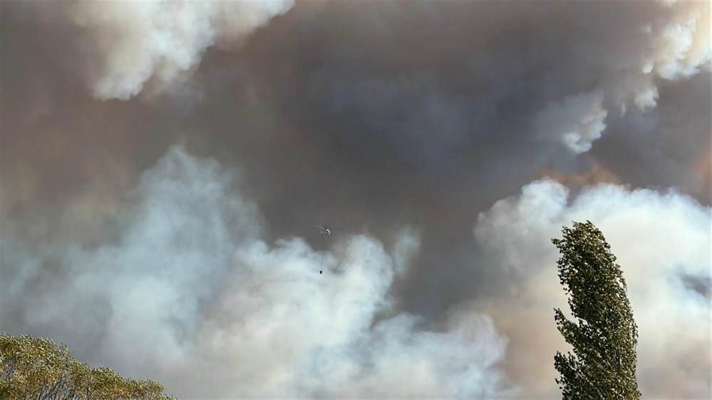 Uşak'taki orman yangını kontrol altında - 10