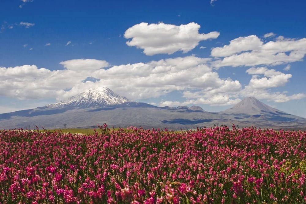 Türkiye'nin Milli Parkları (Türkiye'deki milli parkların listesi ve isimleri) - 69