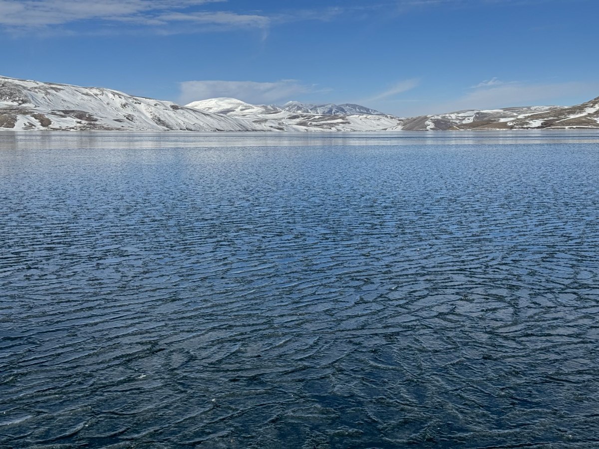 jso-3-SpiU6HwOoOenkR_w.jpg