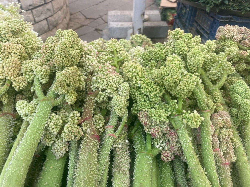 Şeker, kalp ve sarılığa yeterli geldiğine inanılıyor: Dağlarda yetişen doğal şifa tezgahta 73 jssb2ugV0EapqL3NYdI91g