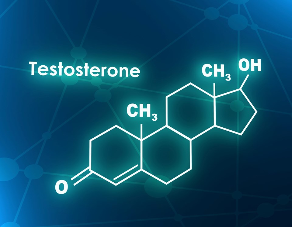Yüksek testosteron, erkeklerde cimriliğe neden oluyor - 1