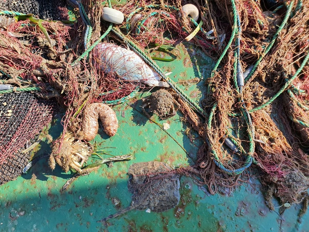 Denizlerde “ölümcül balık”la mücadele sürüyor | Siyanürden daha tehlikeli türün 100 bini avlandı - 5