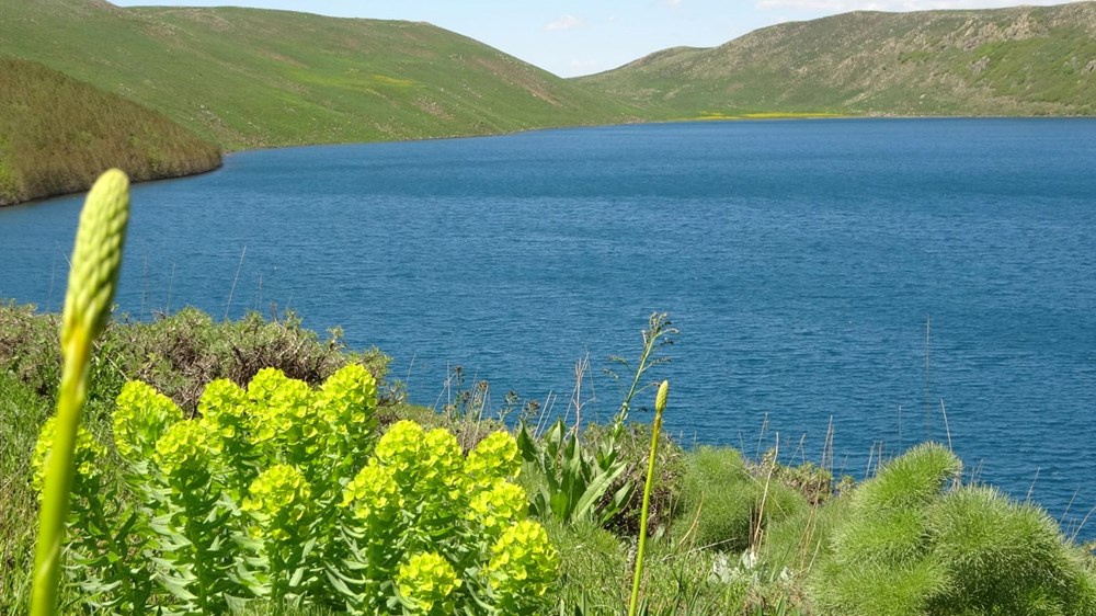 Muş'ta Hamurpet Gölleri görenleri doğasıyla mest ediyor - 15