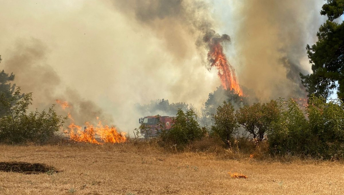 Çanakkale'de orman yangını Çanakkale'de orman yangını