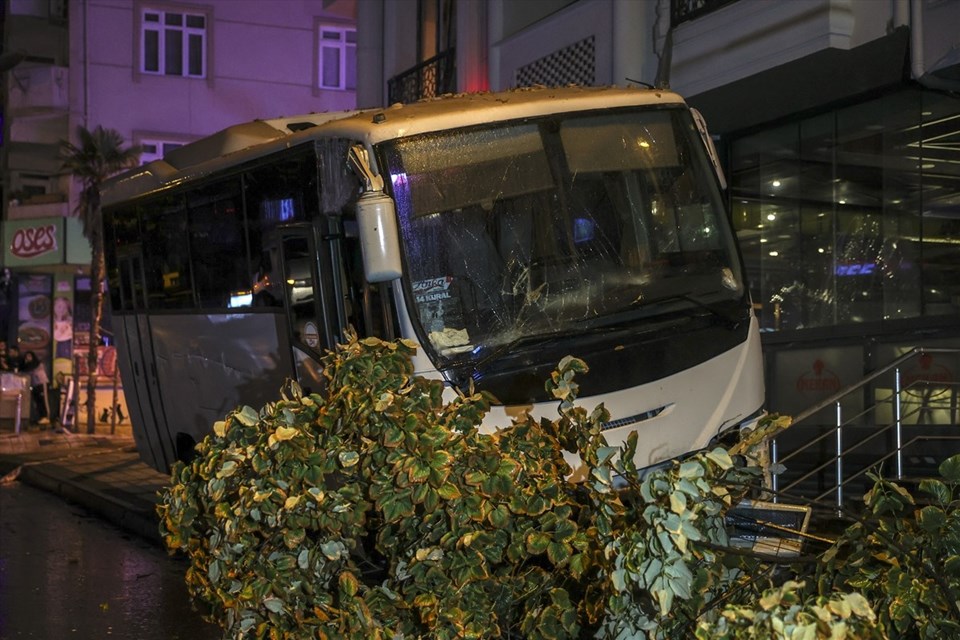 Kaldırıma çıkan midibisün altında can verdi - 1