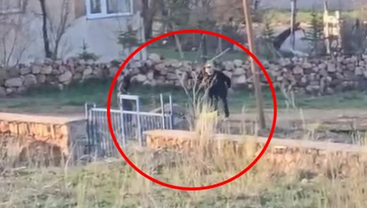 Sivas'ta eşeğe acımasız dayak Sivas'ta eşeğe acımasız dayak