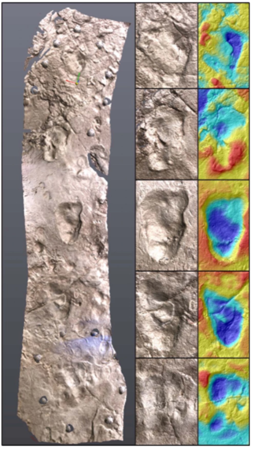 İnsanların ilk atalarına ait 3,7 milyon yıllık ayak izleri bulundu: Karanlık çağ aydınlanıyor - 6
