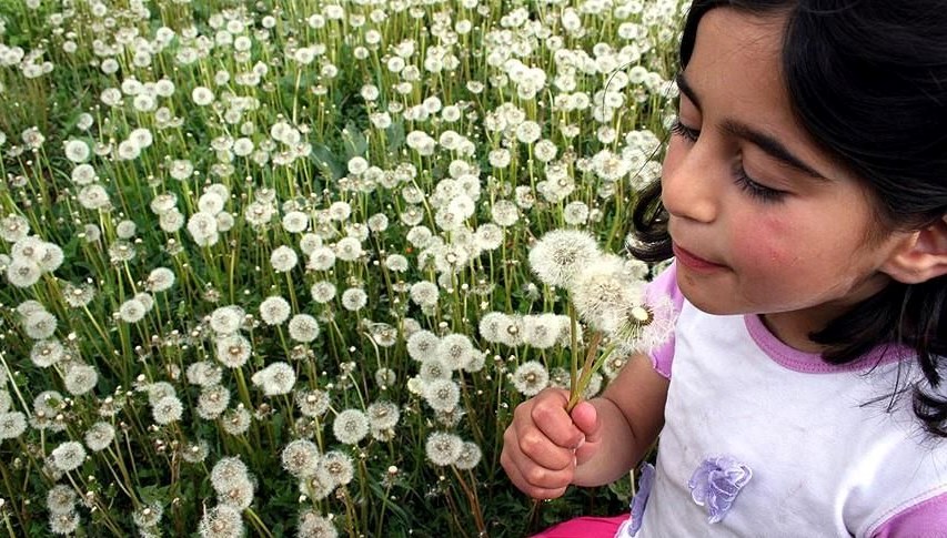 Başlıca nedenleri arasında polenler ve kimyasallar geliyor: Alerjik rinit nedir, neden olur, belirtileri neler?