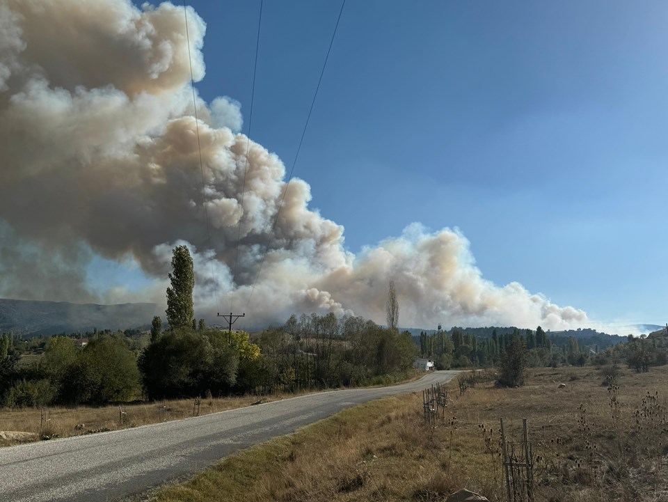 Uşak'ta orman yangını - 1