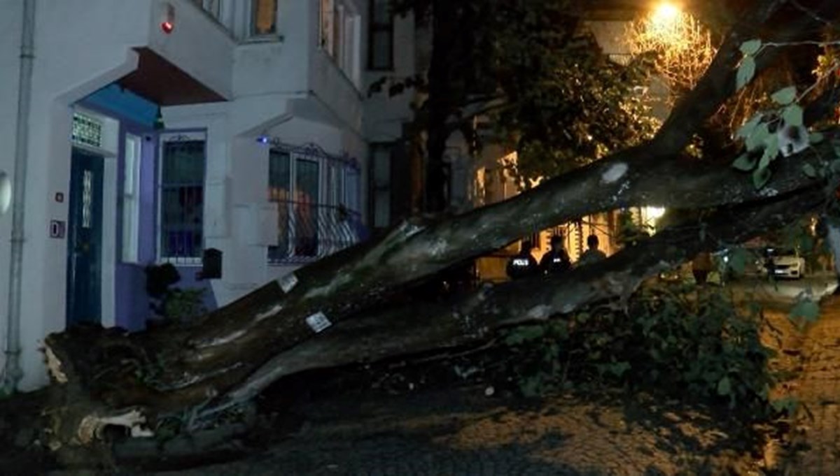 Üsküdar'da aşırı yağış nedeniyle evin bahçe duvarına ağaç devrildi