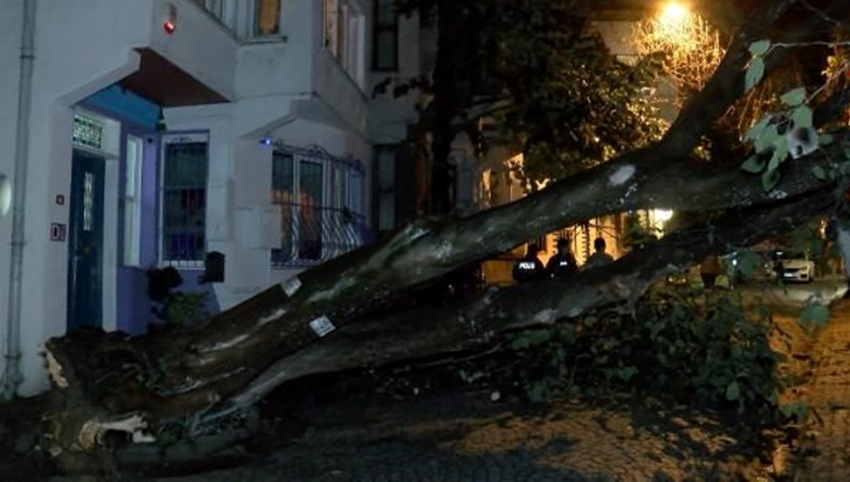 Üsküdar'da aşırı yağış nedeniyle evin bahçe duvarına ağaç devrildi Üsküdar'da aşırı yağış nedeniyle evin bahçe duvarına ağaç devrildi