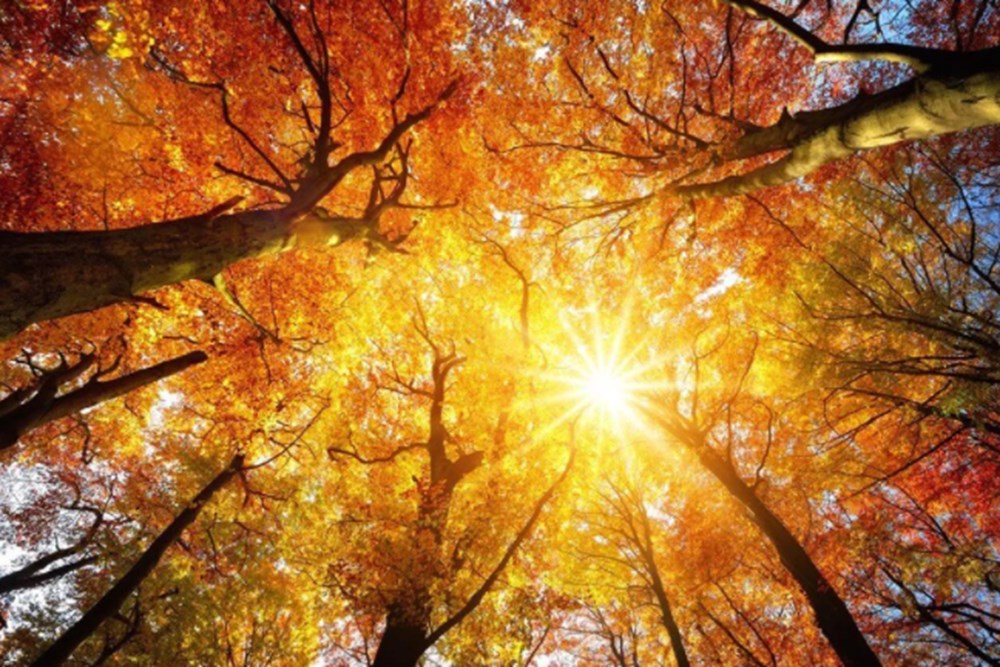 Küresel ısınma devam ederse bir milyarı aşkın insan ölümcül sıcaklıklara maruz kalacak - 8