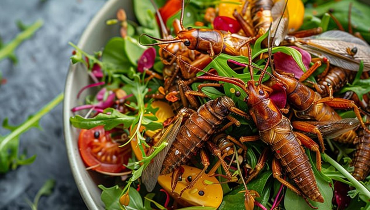 2054 menüsü: Cırcır böcekli salata! 2054 menüsü: Cırcır böcekli salata!