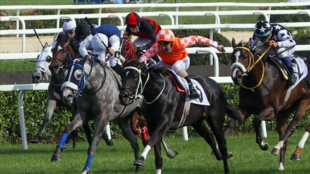 k0inEF4SZ0qxprIfgUatgw.jpg