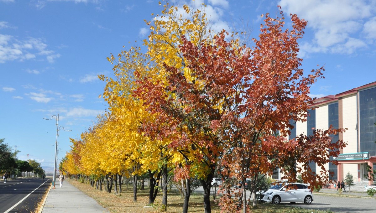 Kars'ta renk tonuna bürünen ağaçlar büyüledi