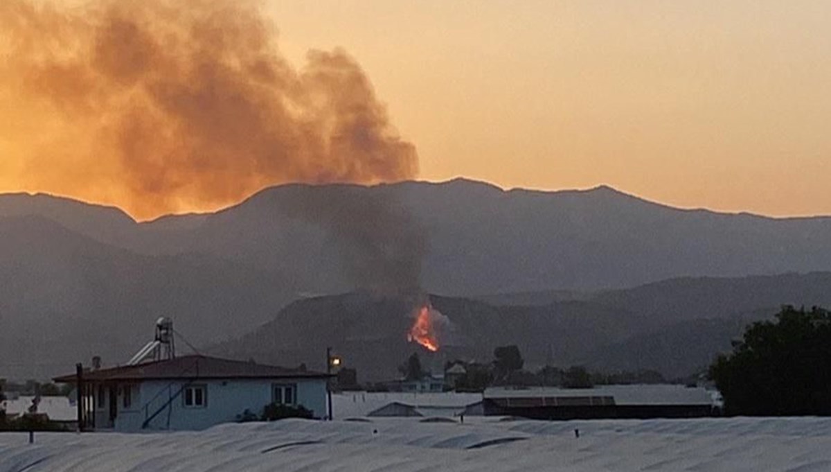 Muğla'da makilik yangını