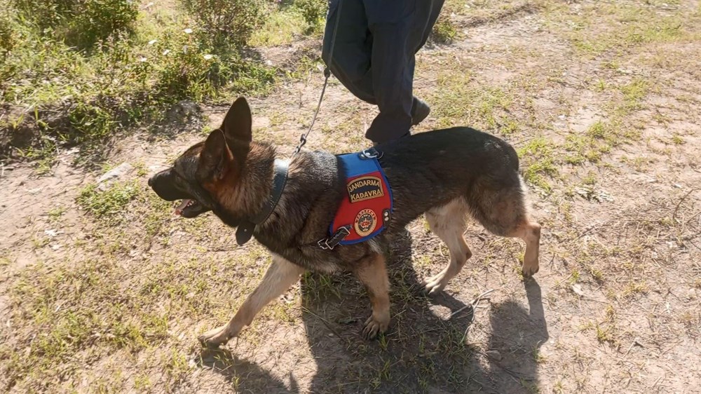 Alan taraması 5'inci günde de devam ediyor: Arama köpeği kafatası parçası buldu - 17