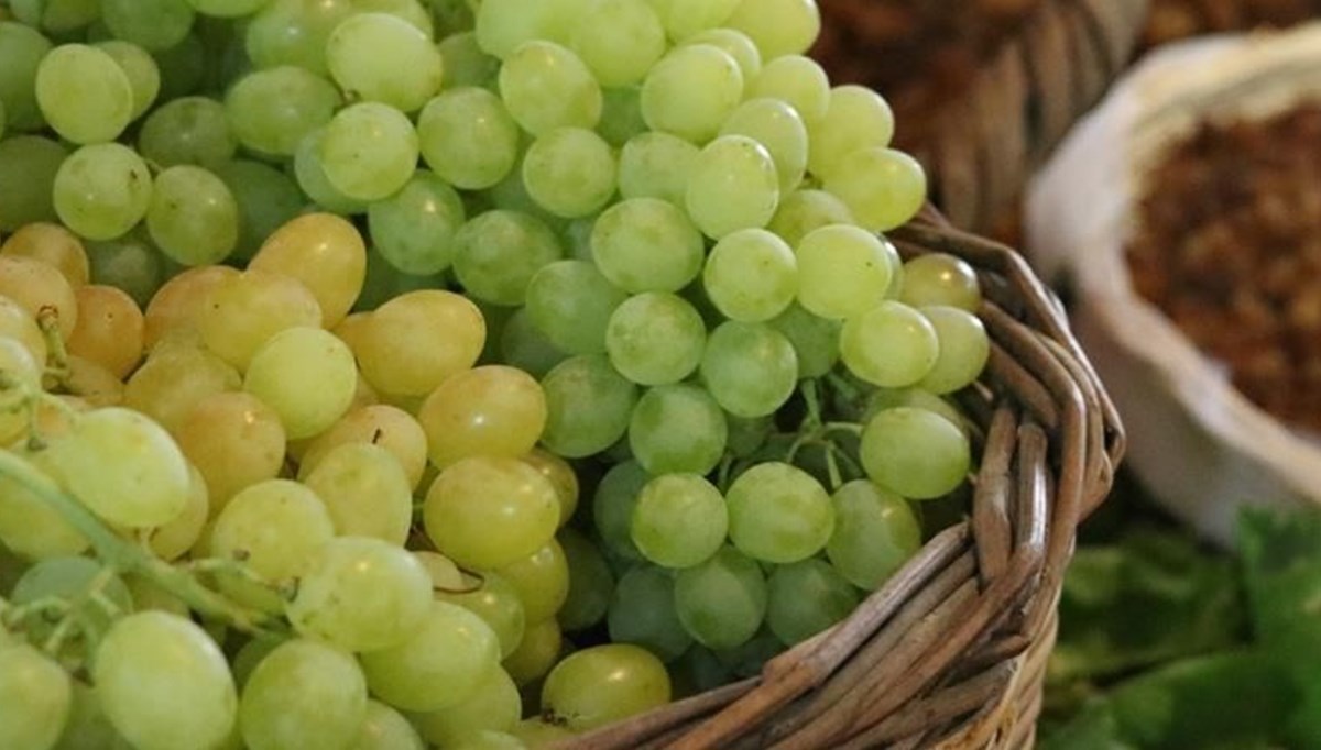 Rusya meyve ithalatını durdurdu