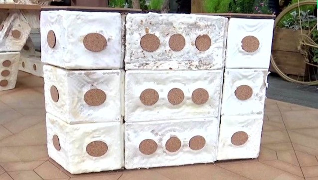 İngiltere'de mantardan tuğla üretildi