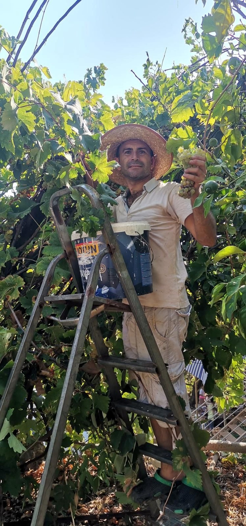 K�lle kaynat�l�yor: "��rakmana" denilen yere bo�alt�l�yor