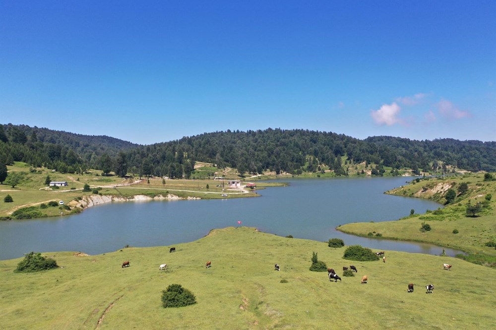 Doğa turizminin gözdesi Sakarya yaylaları - 19