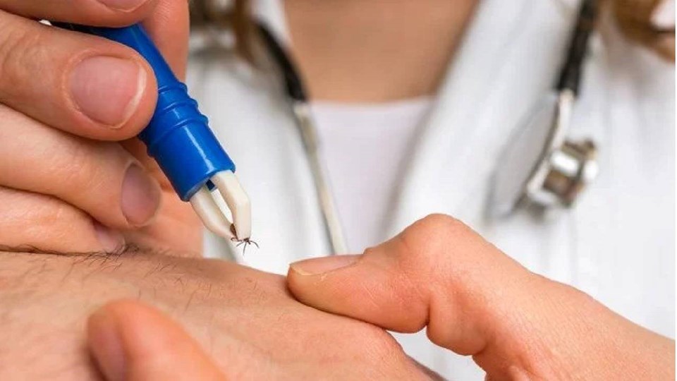 Kene kabusu devam ediyor: 2 ölü, 6 kişi hastanede - 2