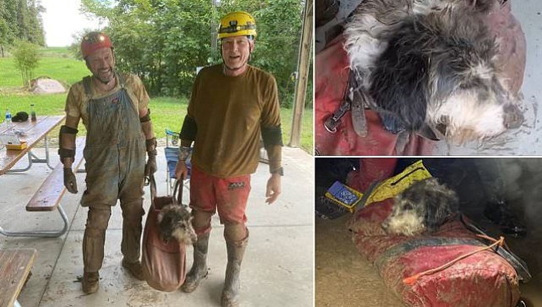 Kayıp köpek 2 ay sonra mağaradan çıktı: Su içerek hayatta kaldı