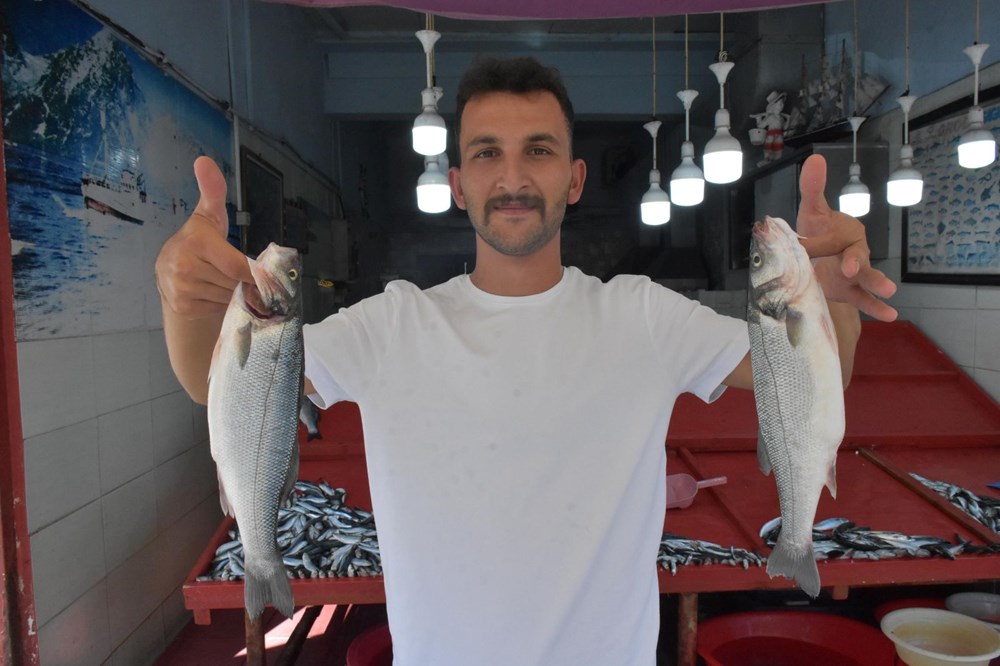 Bolluk fiyatlara yansıdı: Kilosu 200 liradan yoğun talep görüyor - 3