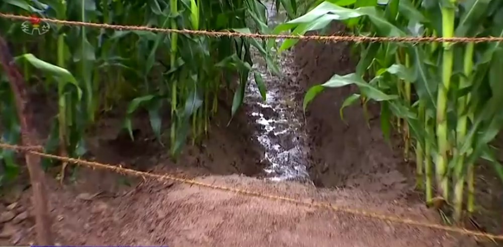 Kuzey Kore’de sel felaketi: 1100’den fazla ev yıkıldı, 5 bin kişi tahliye edildi - 8