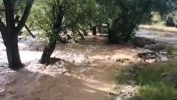 Mersin'de yağış sele neden oldu