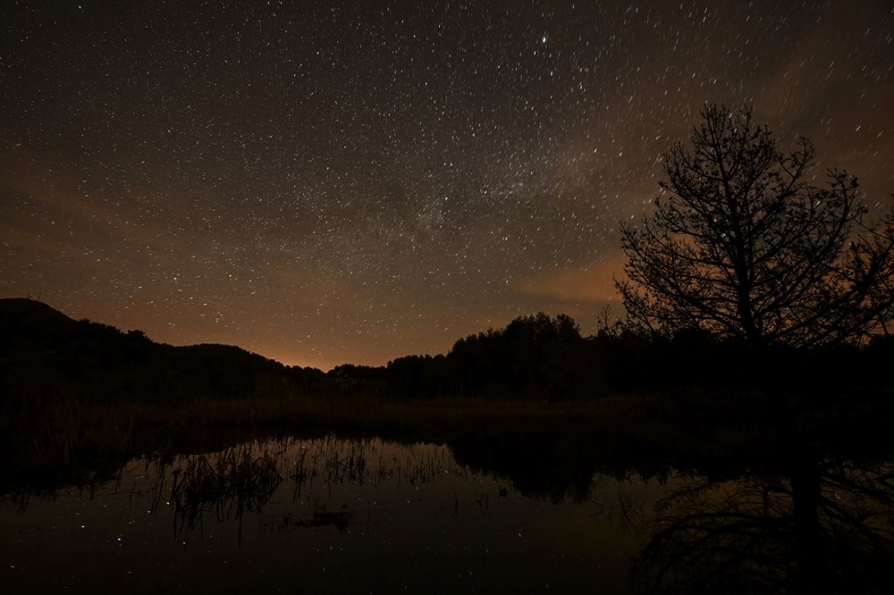 kBdy4aV ZEaDjQIanNd jQ