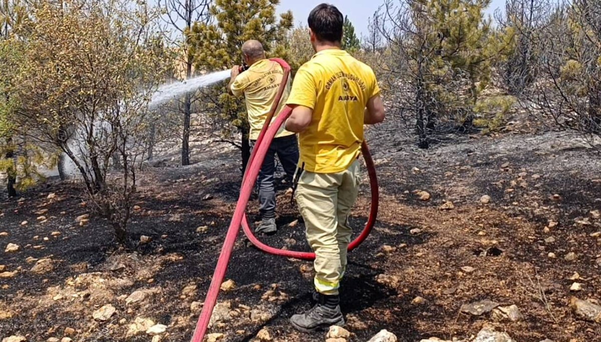 Amasya’da orman yangını