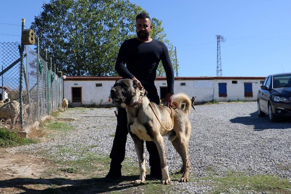 Yurtdışından talep yağıyor, lüks otomobil fiyatına alıcı buluyor - 10