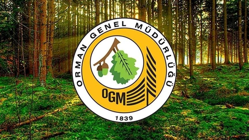 OGM 3 bin 477 işçi alımı müracaat sonuçları 2025: OGM kontratlı dayanak işçisi alımı sonuçları ne vakit açıklanacak? 75