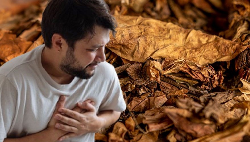 Dünyanın her yerinde gittikçe popüler hale geliyor ama sağlığa zararları inanılmaz! Hükümet yasaklanması için düğmeye bastı