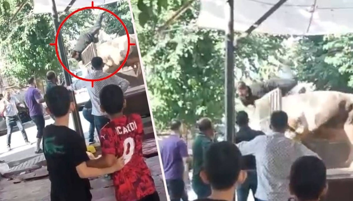 Boğa hayatının şokunu yaşattı