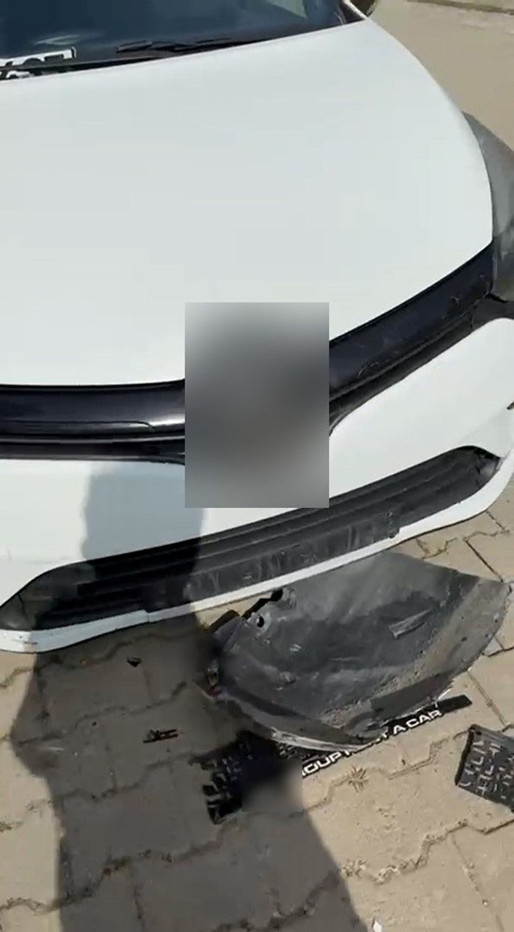 Sokak Köpekleri Araba Canavarına Dönüştü: Mağdur Belediyeye Tazminat Davası Açtı 79 kIjrIshgEU cDBLRc3Zt7w