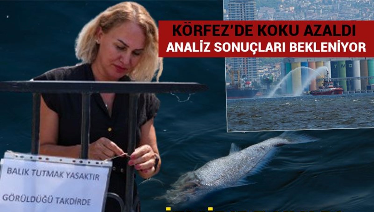 Körfez'da amatör balıkçılara avlanma yasağı