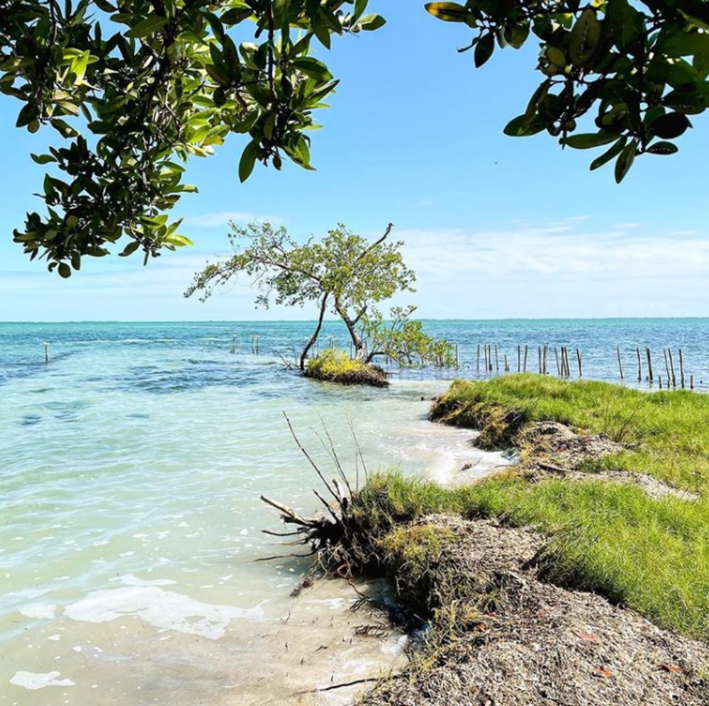 Kendi ülkelerini kurmak için bir Karayip adası satın aldılar - 5