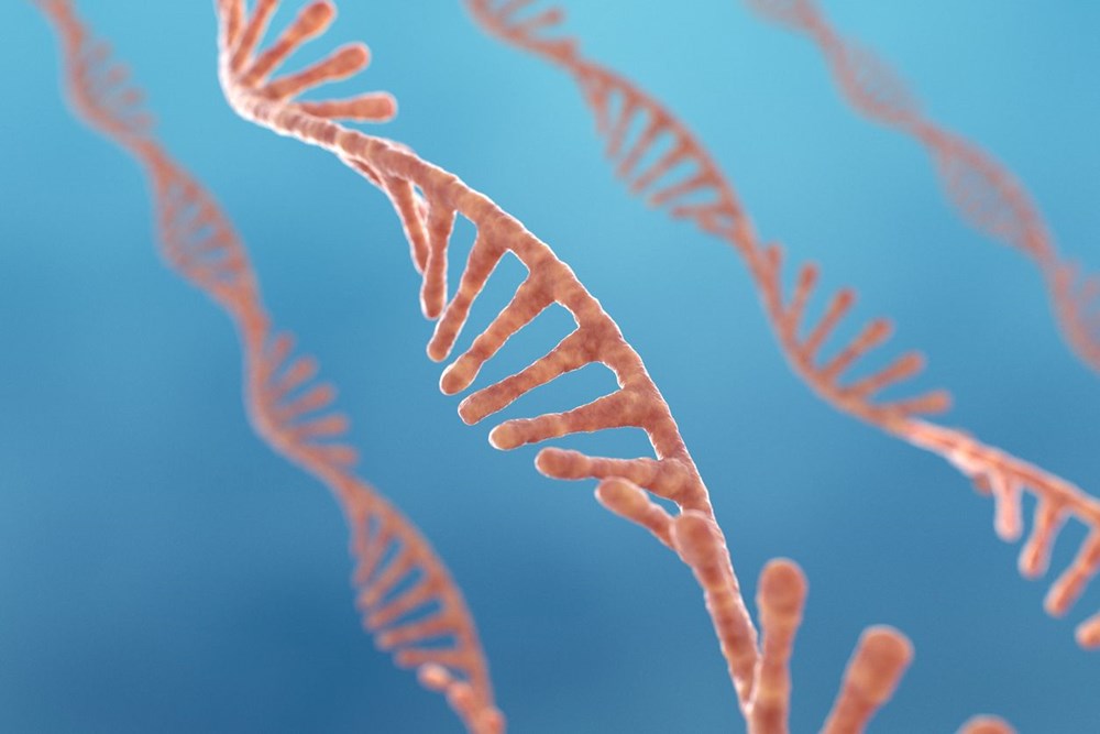 MIT'den bilim insanları Covid-19'a karşı mRNA aşısı hapı geliştirdi: Dünyada ilk - 6