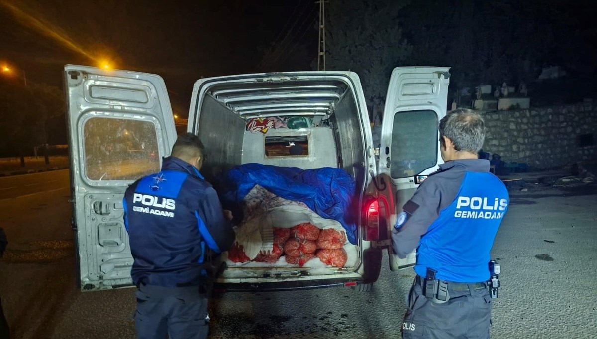 Samsun’da 5 ton kaçak midye ele geçirildi