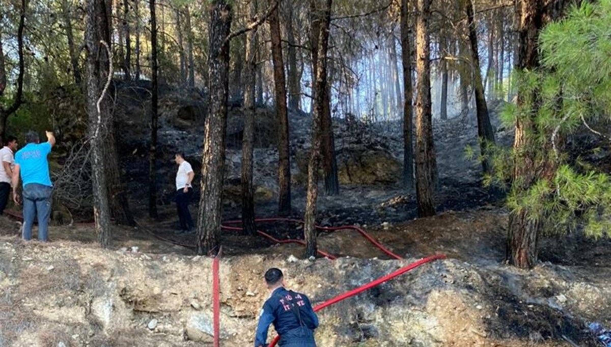 Muğla ve Manisa'da çıkan orman yangınları kontrol altına alındı (Sabotaj şüphesi)Bodrum ve Soma’da yangın (sabotaj şüphesi)