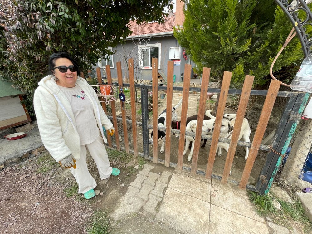 Ömrünü yaptırdığı barınaktaki hayvanlara adadı: 40 kedi ve 8 köpeğe bakıyor - 10