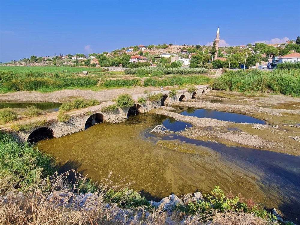 Ege'nin can damarı kuruyor: Balıklar oksijensizlikten öldü - 2