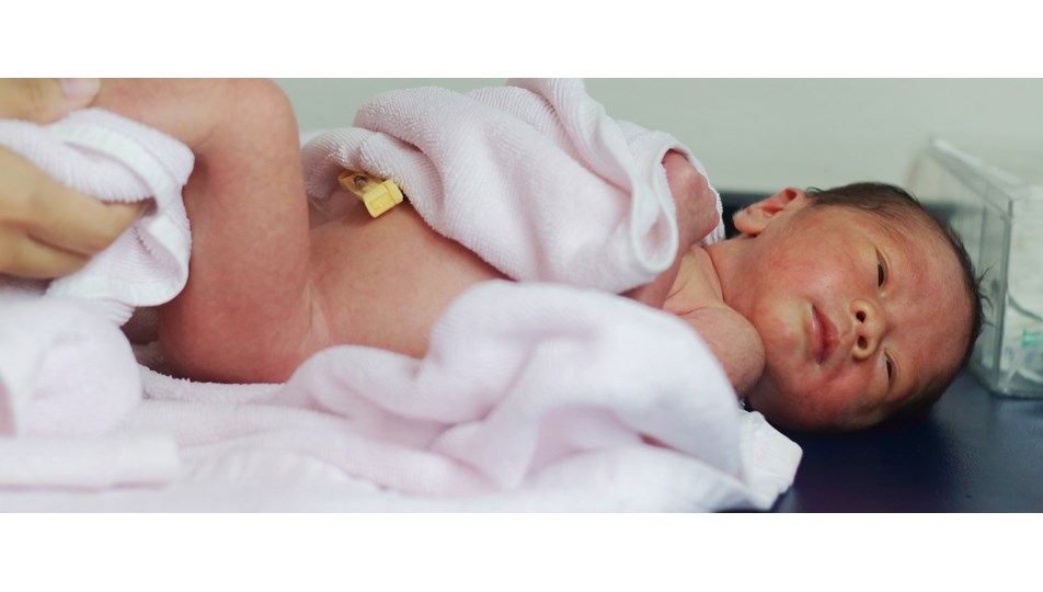 inmemis testis kisirlik nedeni saglik