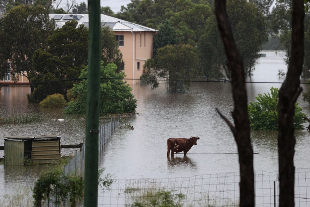 Avustralya'da yüzyılın sel felaketi:18 bin kişi tahliye edildi - 9