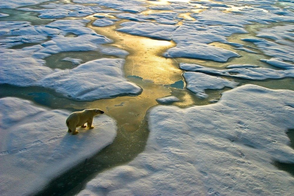 Kuzey Kutbu'nda ölçülen 38 derece sıcaklık tarihe geçti - 7